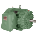 Explosion Proof Motor, 100 HP, 1200 RPM, 230/460V, 444/5T Frame, Rigid Base