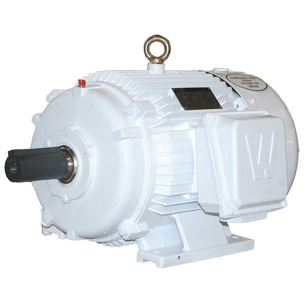Oil Well Pump Motor, 125 HP, 1200 RPM, 230/460/796V, 447T Frame, Rigid Base - IOW125-12-447T