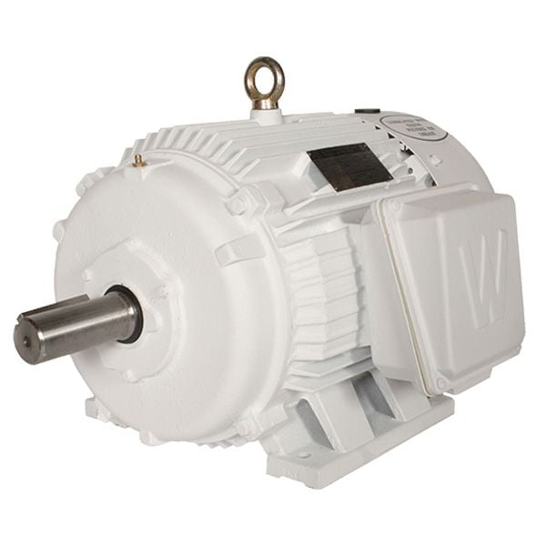Oil Well Pump Motor, 100 HP, 900 RPM, 230/460/796V, 447T Frame, Rigid Base