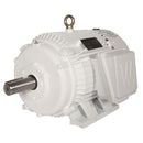 Oil Well Pump Motor, 25 HP, 900 RPM, 230/460/796V, 326T Frame, Rigid Base - OW25-9-326T