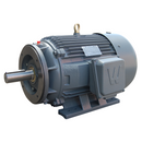 Premium Efficient Severe Duty Motor, 75 HP, 1800 RPM, 230/460V, 365TC Frame, C-Face with Feet, F2