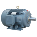 Premium Efficient Severe Duty Motor, 3 HP, 900 RPM, 230/460V, 215T Frame, Rigid Base