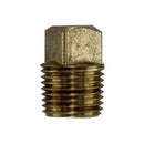 AquaMatic PLZ-0008 – Plug, Pipe, 1/4″ MNPT, Plated STL SQ HD - Parts & Accessories