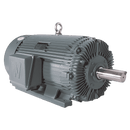 Premium Efficient Severe Duty Motor, 250 HP, 1800 RPM, 460V, 449TS Frame, Rigid Base