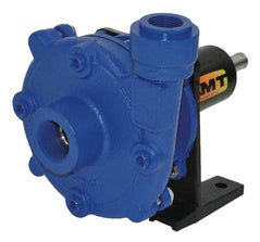 AMT Pumps Centrifugal Pedestal Pump High Head (4906-98)