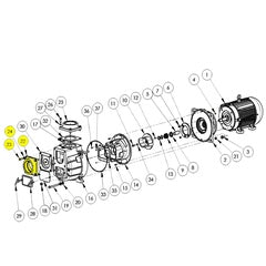 AMT Pump Repair Part 4" Discharge Flange Subgroup Kit (399C-080-95)