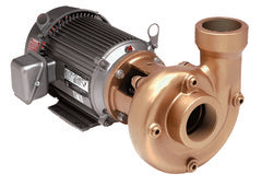 AMT Pumps Heavy Duty Straight Centrifugal Pump Naval Bronze (4240-94)