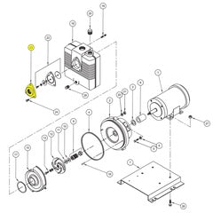 Barnes Flange, Suction, CI, 2" NPT (018100)