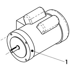 AMT Pump Repair Part 2HP 3PH 230/460V (1627-034-00)