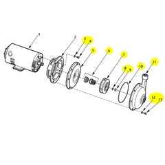 AMT Pump Kit 5475-98 (5475-K8)