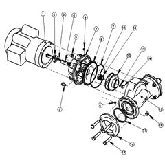 AMT Pump Repair Kit EPDM Seal O-Ring & Gasket Kit (5730-300-91)