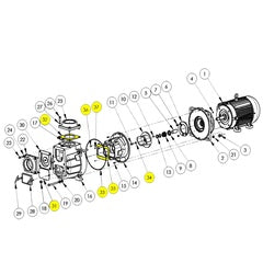 AMT Pump Repair Part BUNA Gasket/O-Ring Subgroup (394J-300-90)