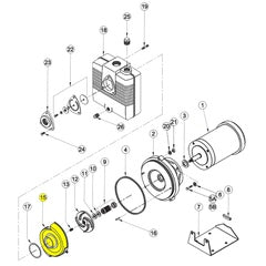 Barnes Volute, CI (018095)