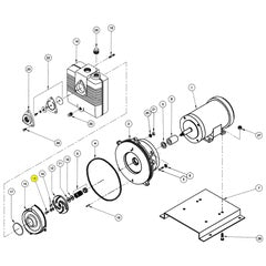 Barnes Screw HXHD 1/2-20 1.000" SS (019802)