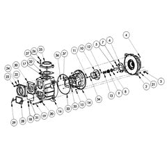 AMT Pump End Kit Model 399D-95 4" NPT (399D-K5)