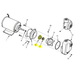 AMT Pump Repair Part Seal Subgrp Buna JC Type 6A (1641-051-90)