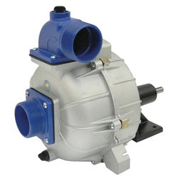 AMT Pumps Cast Iron Pedestal Pump 3/4" Keyed Shaft (2S5XP)