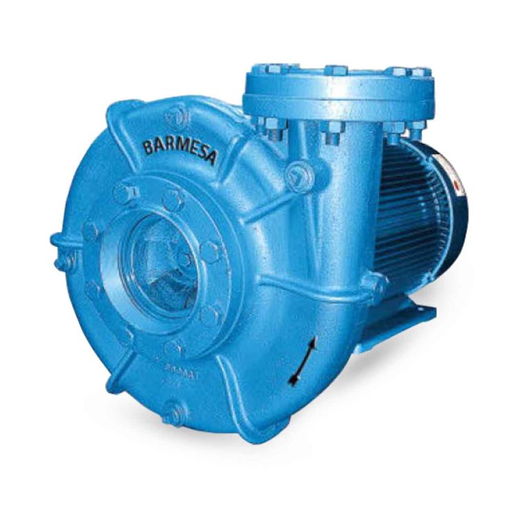 Barmesa IA4BJH-50-4 TEFC End-Suction Centrifugal Pump 50 HP 3PH | 60Hz | 2 HP | 125 HP | Cast Iron | Stainless Steel | Enclosure | Water Use | Industrial Use | Commercial Use