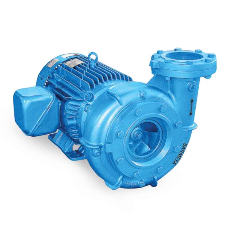 Barmesa IA6BJM-30-4 TEFC End-Suction Centrifugal Pump 30 HP 3PH | 60Hz | 2 HP | 125 HP | Cast Iron | Stainless Steel | Enclosure | Water Use | Industrial Use | Commercial Use