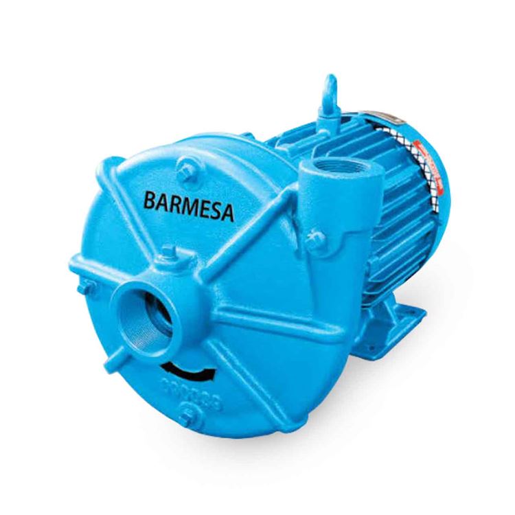 Barmesa IA2H-25-2 TEFC End-Suction Centrifugal Pump 25 HP 3PH | 60Hz | 2 HP | 125 HP | Cast Iron | Stainless Steel | Enclosure | Water Use | Industrial Use | Commercial Use