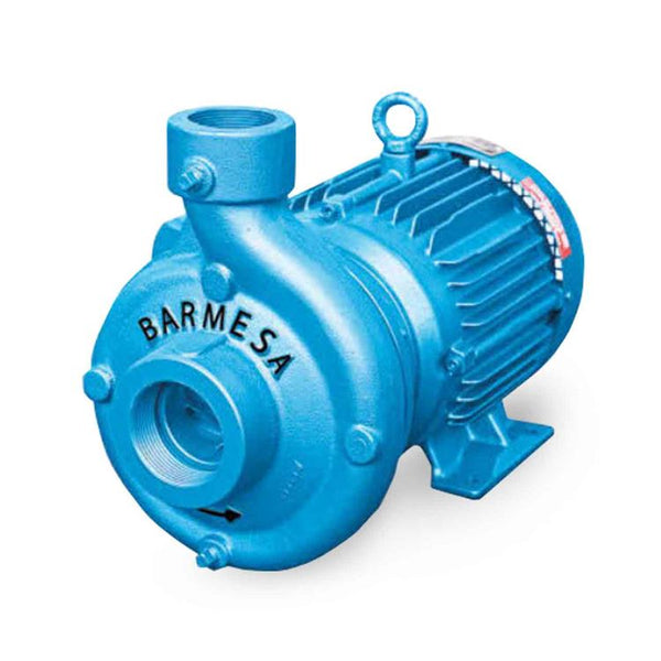 Barmesa IB2-7.5-2-1 TEFC End-Suction Centrifugal Pump 7.5 HP 1 Phase 60HZ 1 HP 15 HP Cast Iron Stainless Steel Enclosure Water Use Industrial Use Commercial Use