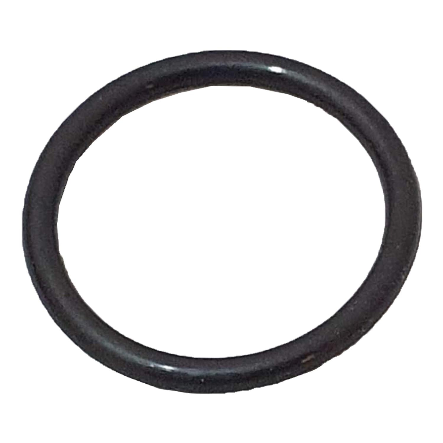Grundfos 96892862 - O-Ring E/22.0x2.5/-B1H