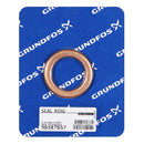 Grundfos 96587657 - Seal Ring