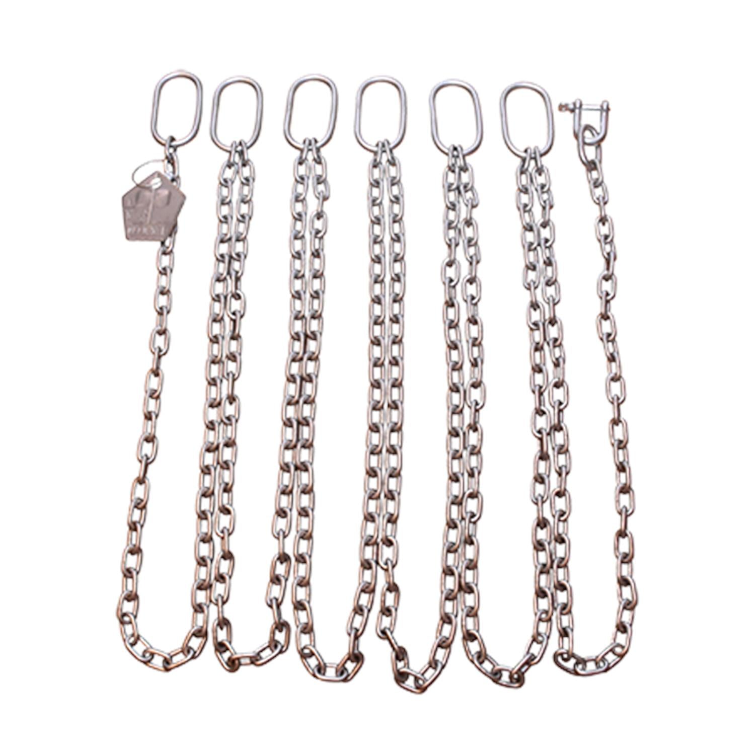 Grundfos 98538179 - Lifting Chain