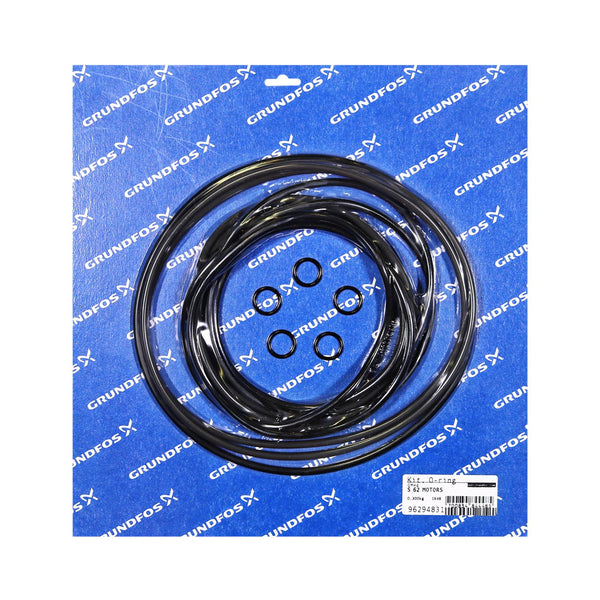 Grundfos 96294831 - Kit | O-Ring Frame 62 Motors