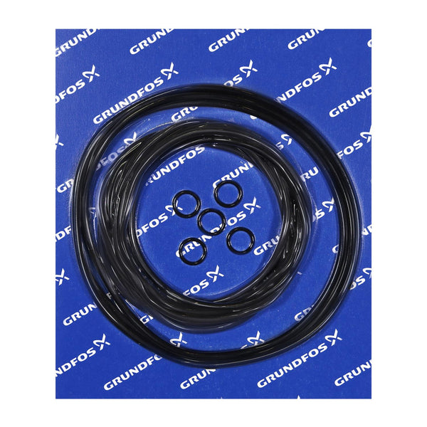 Grundfos 96294834 - Kit | O-Ring FR58 Motors