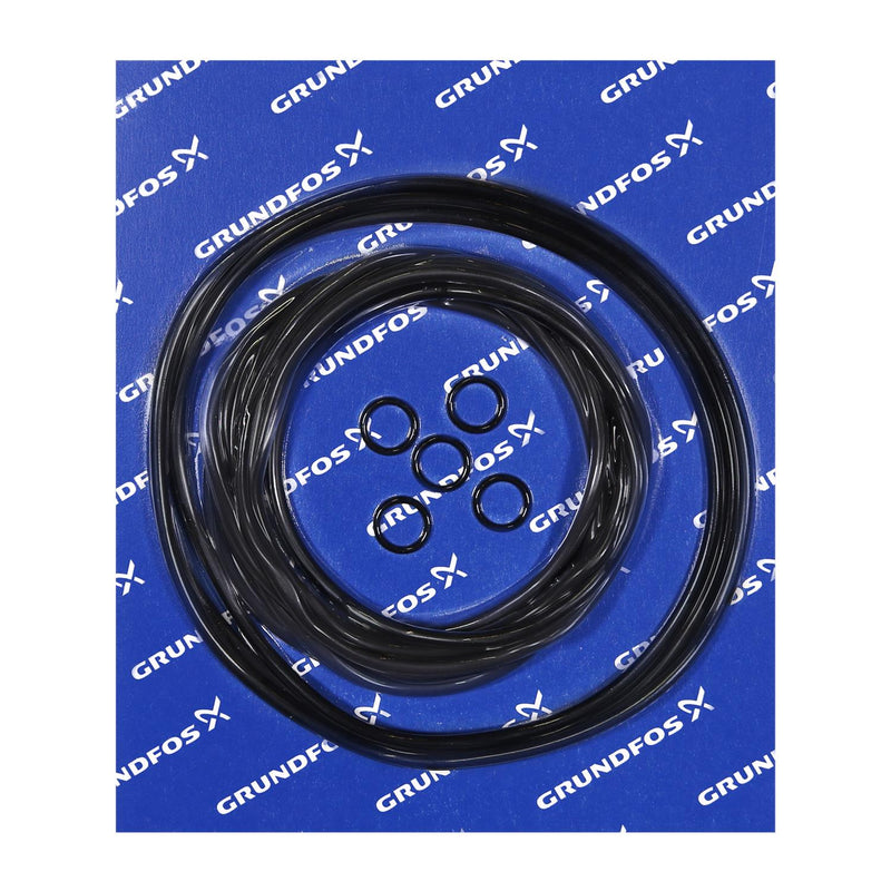 Grundfos 96294834 - Kit | O-Ring FR58 Motors