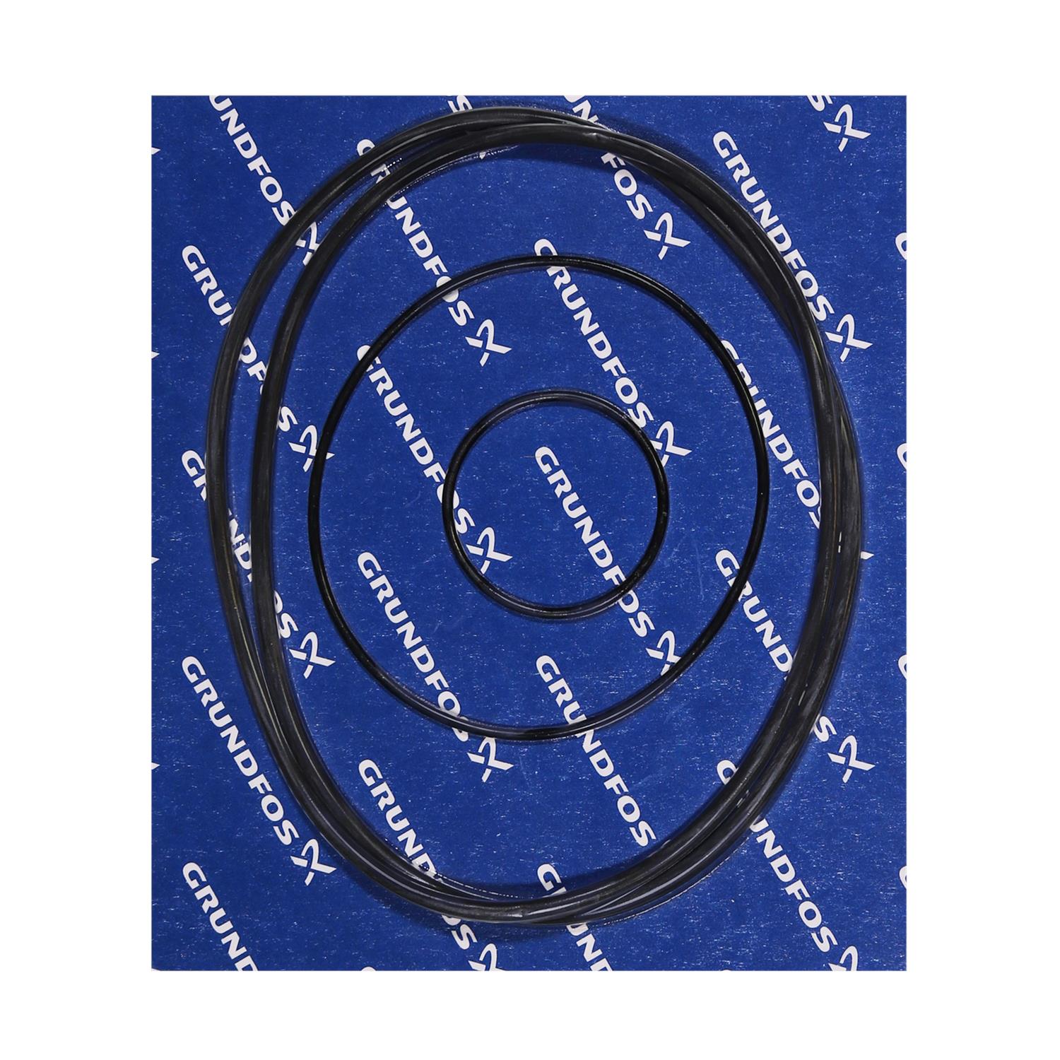 Grundfos 96121685 - Kit | TP-HP | Circulator | Heating | Domestic Use