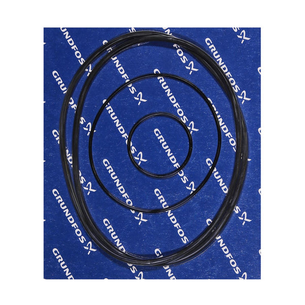 Grundfos 96121685 - Kit | TP-HP | Circulator | Heating | Domestic Use
