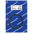 Grundfos 97757699 - Spare O-Ring 253.6X3.53 | Submersible | Borehole | Vertical | High Head