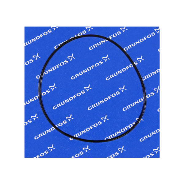 Grundfos 97790022 - Spare O-Ring 177.39X3.53 | Submersible | Borehole | Vertical | High Head