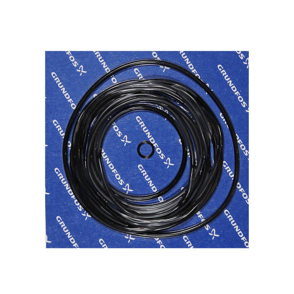 Grundfos 96294835 - Kit | O-Ring FR58 Pumps