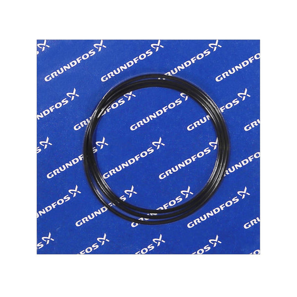 Grundfos 97757707 - Spare O-Ring 430.66X3.53 | Submersible | Borehole | Vertical | High Head