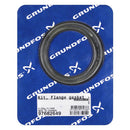 Grundfos 97682649 - Kit | Flange Gasket PN63/100