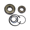 Grundfos 96279795 - Kit | Ball Bearing DGBB_6306.SYN / DGBB_6205.SYN