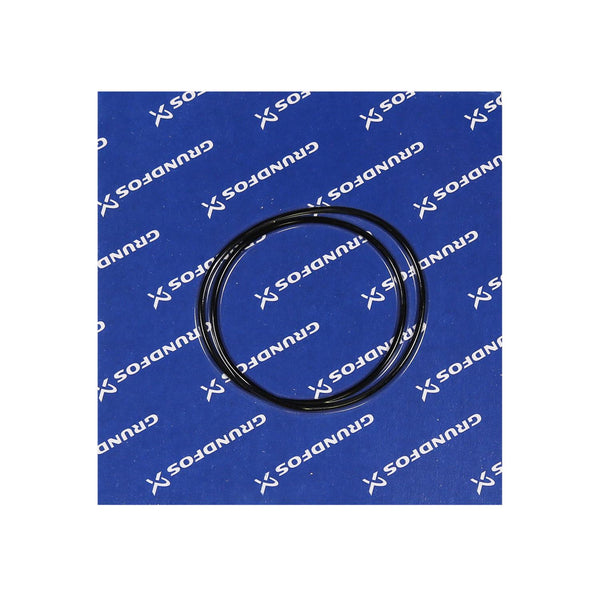 Grundfos 97904692 - O-Ring D221.84X3.53