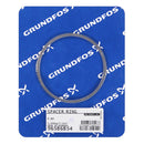 Grundfos 96586854 - SpaCER Ring R BM | Submersible | Borehole | Vertical | High Head