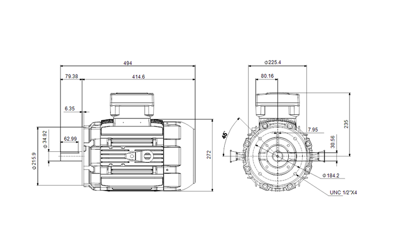 Grundfos 99887784 - WEG 213TC