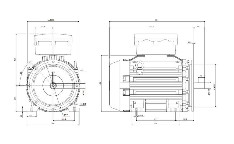 Grundfos 99887837 - WEG 405TSD