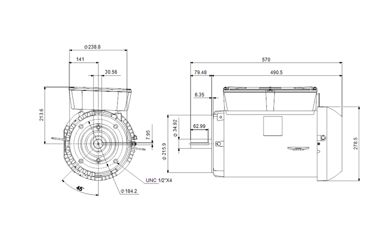 Grundfos 99883308 - WEG 213TC