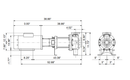 Grundfos 97739273 - CRN 15-12 H-GA-A-V-HQQV | Horizontal | End Suction