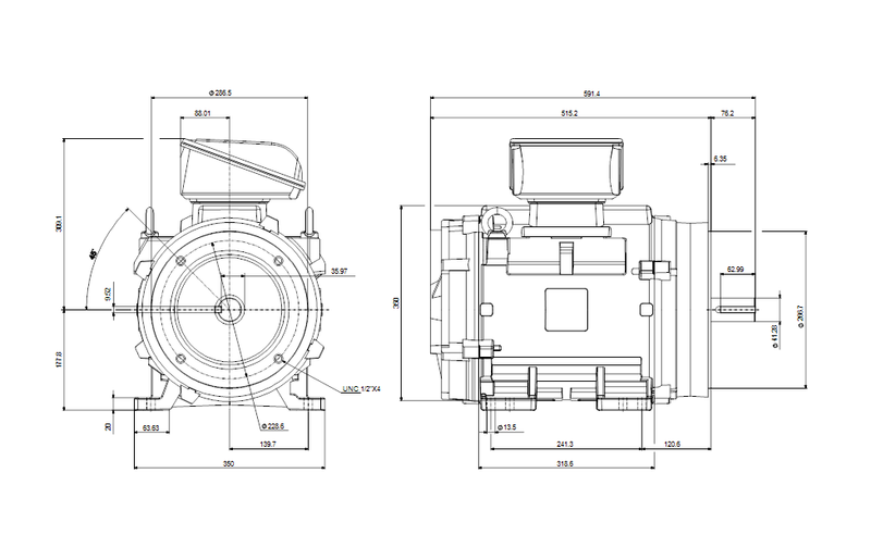 Grundfos 99886389 - WEG 284TSC