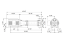 Grundfos 97738133 - CRN 32-1-1 H-GA-A-E-HQQE | Horizontal | End Suction